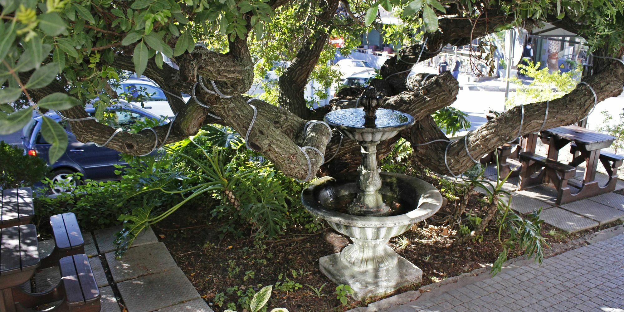 Dixon House In De Waterkant By Cape Finest Città del Capo Esterno foto